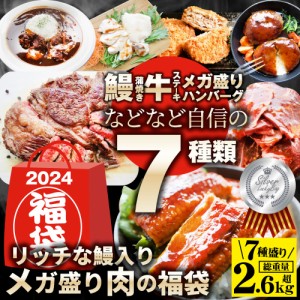 2024 肉の福袋 シルバー メガ盛り 総重量2.64kg（ 7種 食べ比べ ）完全赤字の肉袋！簡単調理 ランキング1位＆人気のお肉ばかりの豪華セッ