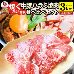 ハラミ 食べ比べ 牛肉 豚肉 焼肉 3kg （250g×12P） メガ盛り 赤身 はらみ バーベ キュー 美味しい 父の日 御中元 ギフト 食品 プレゼン