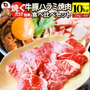 ハラミ 食べ比べ 牛肉 豚肉 焼肉 10kg （250g×40P） メガ盛り 赤身 はらみ バーベ キュー 美味しい 父の日 御中元 ギフト 食品 プレゼン