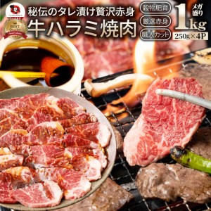 牛ハラミ焼肉（タレ漬け）1kg（250g×4） バーベキュー 赤身 はらみ BBQ  肉 タレ 秘伝 焼肉 やきにく ハラミ アウトドア お家焼肉 レジ