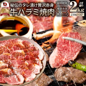 牛ハラミ焼肉（タレ漬け）2kg（250g×8） バーベキュー 赤身 はらみ BBQ  肉 タレ 秘伝 焼肉 やきにく ハラミ アウトドア お家焼肉 レジ