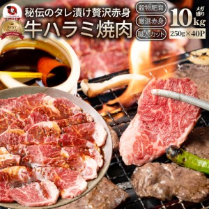 牛ハラミ焼肉（タレ漬け）10kg（250g×40） バーベキュー 赤身 はらみ BBQ  肉 タレ 秘伝 焼肉 やきにく ハラミ アウトドア お家焼肉 レ