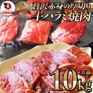 牛 ハラミ 焼肉 10kg（250g×40P）牛肉 メガ盛り バーベキュー BBQ  肉用 当日発送 美味しい ホットプレート 焼肉 お徳用 お土産 メガ盛