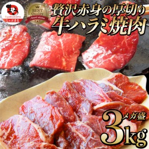 牛 ハラミ 焼肉 3kg（250g×12P）牛肉 メガ盛り バーベキュー BBQ  肉用 当日発送 美味しい ホットプレート 焼肉 お徳用 お土産 メガ盛り