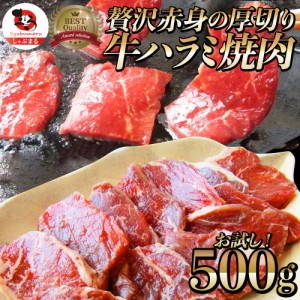 《クーポンで割引対象》牛 ハラミ 焼肉 500g（250g×2P）牛肉 メガ盛り バーベキュー BBQ  肉用 当日発送 美味しい ホットプレート 焼肉 