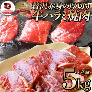 牛 ハラミ 焼肉 5kg（250g×20P）牛肉 メガ盛り バーベキュー BBQ  肉用 当日発送 美味しい ホットプレート 焼肉 お徳用 お土産 メガ盛り