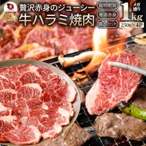 《まとめ買いクーポン対象》牛 ハラミ 焼肉 1kg（250g×4P）牛肉 メガ盛り バーベキュー BBQ  肉用 美味しい お徳用 お土産 メガ盛り お