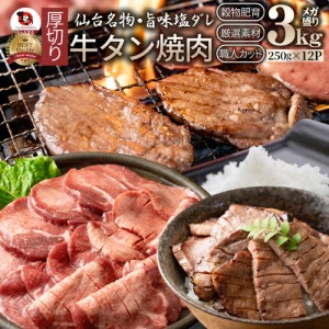 肉 父の日 御中元 お中元 ギフト 食べ物 食品 プレゼント 女性 男性 人気 お祝い 牛肉 牛タン塩だれ 焼肉 3kg （250g×12P）厚切り 約24