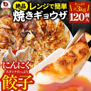 餃子 ギョウザ ギョーザ レンジ調理 中華 120個入り 3kg(1kg×3) 点心 中華料理 温めるだけ 冷凍 惣菜 お弁当 あす楽 業務用 温めるだけ 