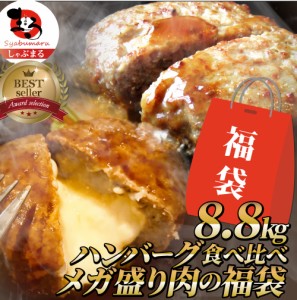 福袋 ハンバーグ 2種セット 8.8kg (プレーン100g×48個、チーズイン100g×40個) メガ盛り 冷凍 惣菜 レンジOK 弁当 行楽 オードブル パー