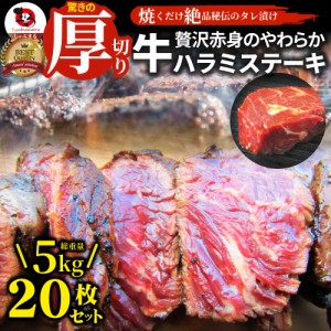 ステーキ ハラミ 牛ハラミ ブロック 焼肉 （タレ漬け）5,000g（250g×20） タレ 秘伝 焼肉セット 焼肉 ランキング1位 やきにく ハラミ 赤