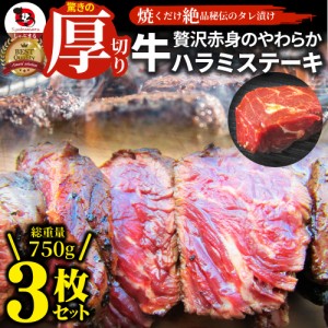 ステーキ ハラミ 牛ハラミ ブロック 焼肉 （タレ漬け）750g（250g×3） タレ 秘伝 焼肉セット 焼肉 ランキング1位 やきにく ハラミ 赤身 