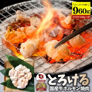 国産牛 ホルモン 960g (240g×4袋) ほるもん 小腸 焼肉用 お得 焼肉 やきにく アウトドア お家焼肉 レジャー 冷凍 バーベキュー 肉 食材 