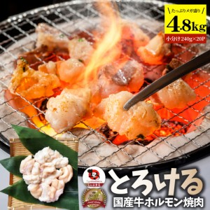 国産牛 ホルモン 4.8kg (240g×20袋) ほるもん 小腸 焼肉用 お得 焼肉 やきにく アウトドア お家焼肉 レジャー 送料無料 冷凍 バーベキュ