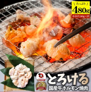 国産牛 ホルモン 480g (240g×2袋) ほるもん 小腸 焼肉用 お得 焼肉 やきにく アウトドア お家焼肉 レジャー 冷凍 バーベキュー 肉 食材 