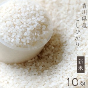 米 【新米】 令和5年新米 遠藤さんの 香川県産 こしひかり 10kg 美味しい お米 精米したて  お肉の しゃぶまる