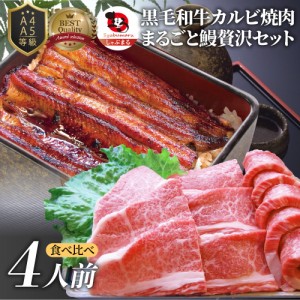 黒毛和牛 ＆ まるごと鰻 セット 4人前 肉  ギフト 黒毛和牛 カルビ 焼肉 （ A4 〜 A5等級 ） 焼肉のタレ プレゼント 牛肉 送料無料 贅沢 