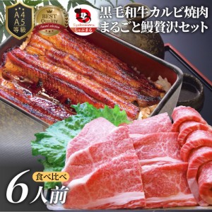 黒毛和牛 ＆ まるごと鰻 セット 6人前 肉  ギフト 黒毛和牛 カルビ 焼肉 （ A4 〜 A5等級 ） 焼肉のタレ プレゼント 牛肉 送料無料 贅沢 