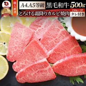 A4,A5等級 特選 黒毛和牛 カルビ 焼肉 500g 今だけ焼肉のタレ付き 凍眠 テクニカン【 牛肉 牛 焼肉 バーベキュー BBQ カルビ 国産 肉 父