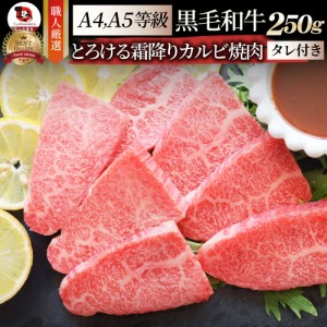 A4,A5等級 特選 黒毛和牛 カルビ 焼肉 250g 今だけ焼肉のタレ付き 凍眠 テクニカン【 牛肉 牛 焼肉 バーベキュー BBQ カルビ 国産 肉 父