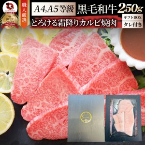  A4,A5等級 特選 黒毛和牛 カルビ 焼肉  ギフトボックス付き 250g今だけ焼肉のタレ付き 凍眠 テクニカン【 牛肉 牛 焼肉 バーベキュー BB