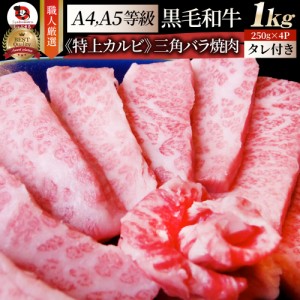 A4,A5等級 特選 黒毛和牛 三角バラ カルビ焼肉 1kg（250g×4） 今だけ焼肉のタレ付き 凍眠 テクニカン【 牛肉 和牛 牛 牛 焼肉 バーベキ