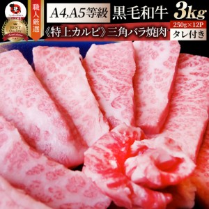 A4,A5等級 特選 黒毛和牛 三角バラ カルビ焼肉 3kg（250g×12） 今だけ焼肉のタレ付き 凍眠 テクニカン【 牛肉 和牛 牛 牛 焼肉 バーベキ