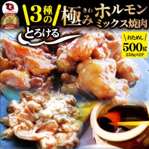 三種 ホルモン ミックス 焼肉 500g（250ｇ×2パック）秘伝 タレ漬け バーベキュー BBQ  肉 焼くだけ 冷凍 キャンプ キャンプ飯 ＊当日発