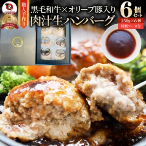 黒毛和牛 手作り ハンバーグ 150g×6個 ソース付き オリーブ豚 国産牛 生ハンバーグ 牛肉 送料無料 肉 母の日 父の日 ギフト 食品 お祝い