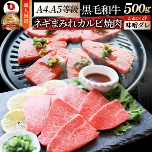 A4,A5等級 特選 黒毛和牛 カルビ焼肉 500g(250g×2)  ねぎまみれ 旨辛味噌ダレ（ A4 〜 A5等級 ）牛肉 肉 父の日 御中元 ギフト 食品 お