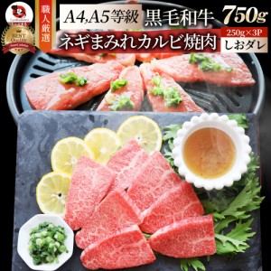 A4,A5等級 特選 黒毛和牛 カルビ焼肉 750g(250g×3)  ねぎまみれ 旨塩ダレ（ A4 〜 A5等級 ）牛肉 肉 母の日 父の日 ギフト 食品 お祝い 