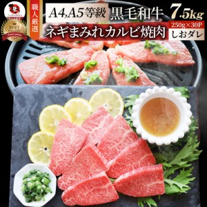 A4,A5等級 特選 黒毛和牛 カルビ焼肉 7.5kg(250g×30)  ねぎまみれ 旨塩ダレ（ A4 〜 A5等級 ）牛肉 肉 母の日 父の日 ギフト 食品 お祝