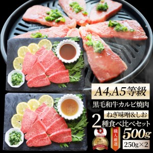 A4,A5等級 特選 黒毛和牛 カルビ焼肉 ねぎまみれ 味噌ダレ&塩ダレ 食べ比べ 500g（各250g） 牛肉 肉 母の日 父の日 ギフト 食品 お祝い  