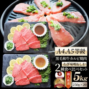 A4,A5等級 特選 黒毛和牛 カルビ焼肉 ねぎまみれ 味噌ダレ&塩ダレ 食べ比べ 5kg（250g×各10） 牛肉 肉 父の日 御中元 ギフト 食品 お祝