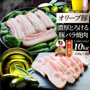 オリーブ豚 バラ 焼肉用 10kg(250g×40) 贅沢 肉 父の日 御中元 お中元 ギフト 食べ物 食品 プレゼント 女性 男性 人気 お祝い ブランド 