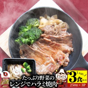 レンジで牛ハラミ焼肉 3食（250g×3）  低糖質 たっぷり野菜のハラミ焼肉 やきにく ハラミ タレ 赤身 はらみ 秘伝 焼肉セット 焼肉 ラン