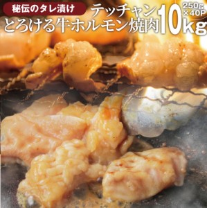 タレ漬け 牛 ホルモン（テッチャン） シマチョウ 10kg（250g×40袋） 焼肉用 焼くだけ バーベキュー BBQ  肉 タレ 秘伝 焼肉 やきにく ア