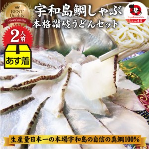 《クーポンで割引対象》魚 ギフト 食べ物 食品 プレゼント 女性 男性 人気 お祝い 鯛しゃぶしゃぶ 2人前 贈り物 贈答 祝い 鯛 宇和島 愛