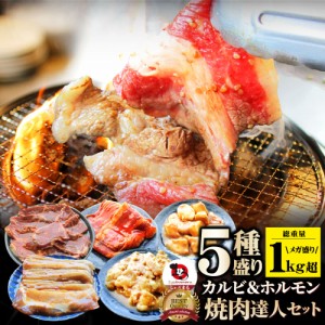 焼肉達人セット 福袋 5種盛り 食べ比べ 焼くだけ 食べ比べ セット 焼肉 惣菜 お取り寄せ ふくぶくろ バーベキュー BBQ  肉 美味しい 冷凍