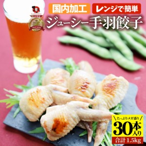 手羽先 餃子の通販｜au PAY マーケット