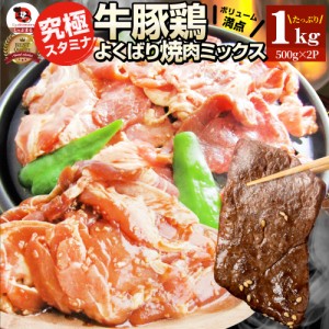 焼肉 ざんまい 牛豚鶏よくばり焼肉ミックス 1kg（500g×2） おトク お徳用 送料無料 肉 通販 お取り寄せ グルメ アウトドア お家焼肉 レ