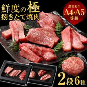 和牛 ギフト 母の日 父の日 6種2段 焼肉 ギフト 特選 黒毛和牛 牛肉 A4 A5 肉 ハンバーグ 霜降り 牛肉 贅沢 国産 黒毛 和牛 お祝い グル