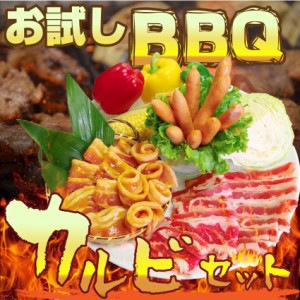 お試し バーベキュー BBQ 福袋  肉 カルビセットセット 焼くだけ オードブル パーティー 冷凍 送料無料 キャンプ キャンプ飯 ＊当日発送