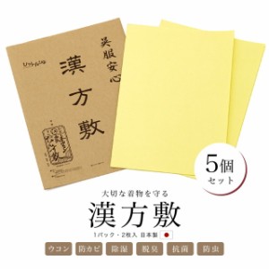 漢方敷 タンス敷紙 タンス敷き 生ウコン 2枚 天然素材 収納 衣装敷 除湿 防カビ 防虫 保管 無臭 シート 和紙 天然鉱石 繰り返し使える た