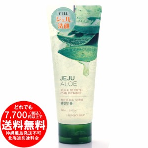 銀座ステファニー JEJU ALOE チェジュ アロエ フレッシュフォームクレンザー 150ml ジェル洗顔料 [きらく屋][f]