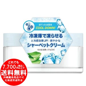 銀座ステファニー JEJU ALOE チェジュ アロエ リフレッシング スージングジェル 300ml [きらく屋][f]