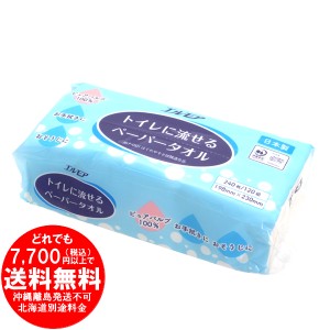 カミ商事 エルモア トイレに流せる ペーパータオル 240枚(120組) [きらく屋][f]