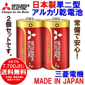 三菱 単2形 アルカリ乾電池 2本セット LR14GD/2S 単二電池 日本製 [f] 