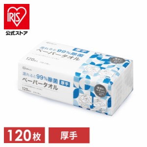 除菌ペーパータオル ペーパータオル 除菌 濡れると99％除菌ペーパータオル 120枚 厚手 JPT-120 厚手 手拭きペーパー 紙タオル 使い捨て 