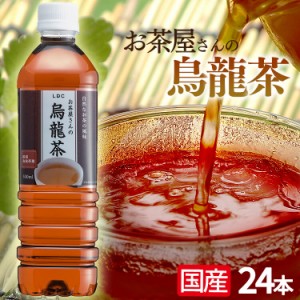 LDCお茶屋さんの烏龍茶500ml 24本 LDC プラザセレクト 【代引き不可】